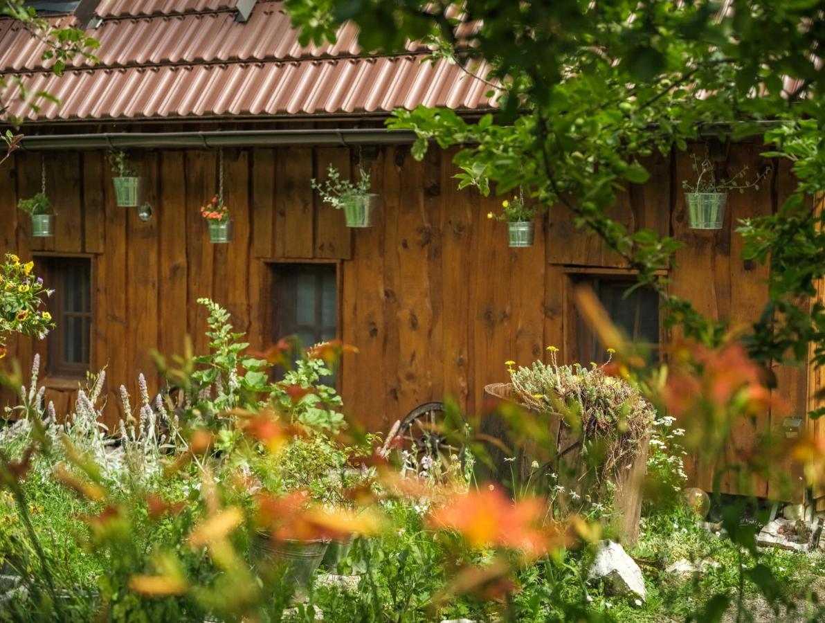 Yeti Cabin Plitvica selo Exteriér fotografie